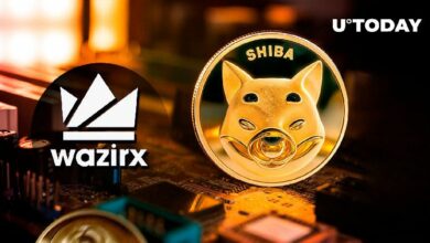 ارتفاع سعر SHIB بعد بيع جميع الرموز من قبل مخترق WarizX - اكتشف التفاصيل!