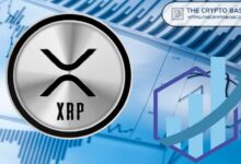 محلل: سعر XRP يتطلع إلى $0.90 بدعم قوي - اكتشف التفاصيل!