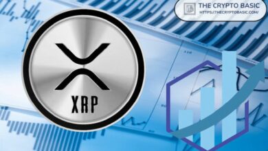 محلل: سعر XRP يتطلع إلى $0.90 بدعم قوي - اكتشف التفاصيل!