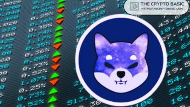 مدافع بيتكوين يروج لصندوق Shiba Inu ETF ويصف هيئة الأوراق المالية بالمزحة الكبرى