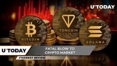 3 مستويات دعم جديدة للبيتكوين (BTC) يجب مراقبتها - تراجع ضخم غير مسبوق في سعر تونكوين (TON) - سولانا (SOL) ترتفع بقوة بنسبة 8% مع هبوط الإيثريوم