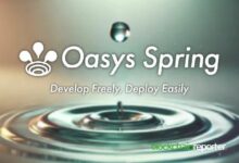 شركة Oasys تطلق Oasys Spring لتحويل تطوير التطبيقات اللامركزية - اكتشف المزيد الآن!