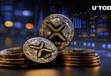 ارتفاع XRP بنسبة 35% بدون مستثمرين جدد - اكتشف التفاصيل