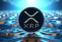 بيترو تطلق صندوق استثمار XRP بعروض APY مذهلة - احصل على العوائد الآن!