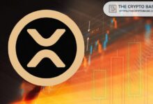 خبير السوق يصرح: "لست هنا من أجل وصول XRP إلى $3 أو $5 أو $18، بل $333 – اكتشف المستقبل الآن!"