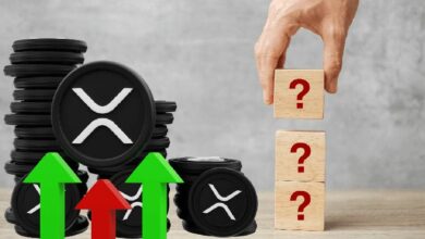 لماذا يرتفع سعر XRP وحده وسط تراجع سوق العملات الرقمية؟ اكتشف الآن!