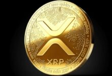 انخفاض سعر XRP: هل يجب على المستثمرين اغتنام فرصة الشراء؟