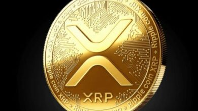 انخفاض سعر XRP: هل يجب على المستثمرين اغتنام فرصة الشراء؟