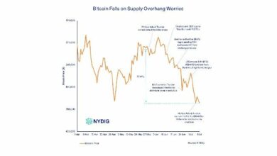 انخفاض سعر البيتكوين في ألمانيا، وضغط بيع مشغلي منجم Mt. Gox قد يكون مبالغاً فيه: تقرير NYDIG