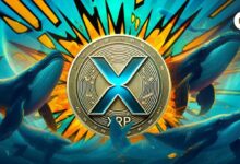 صعود سعر XRP بعد تحويل شركة Ripple Labs مبلغ 87 مليون دولار إلى محفظة مجهولة