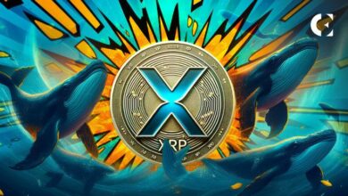 صعود سعر XRP بعد تحويل شركة Ripple Labs مبلغ 87 مليون دولار إلى محفظة مجهولة