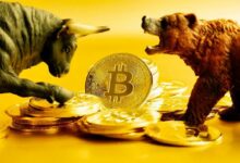 هل انتهى صعود بيتكوين (BTC) أم سيستمر؟ تعرف على رأي المحللين باستخدام مؤشر جديد