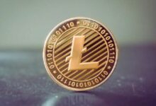 لماذا يظل سعر لايتكوين (LTC) ثابتاً بالرغم من الاستخدام الواسع؟ اكتشف السبب هنا!