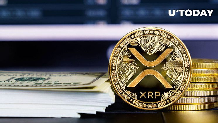 تحرك مفاجئ لـ 300 مليون XRP بينما ينتظر السعر التحرك التالي - اكتشف الآن!