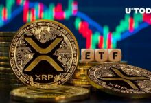 استثمارات XRP ترتفع بشكل كبير: هل سيتبعها ETF XRP؟