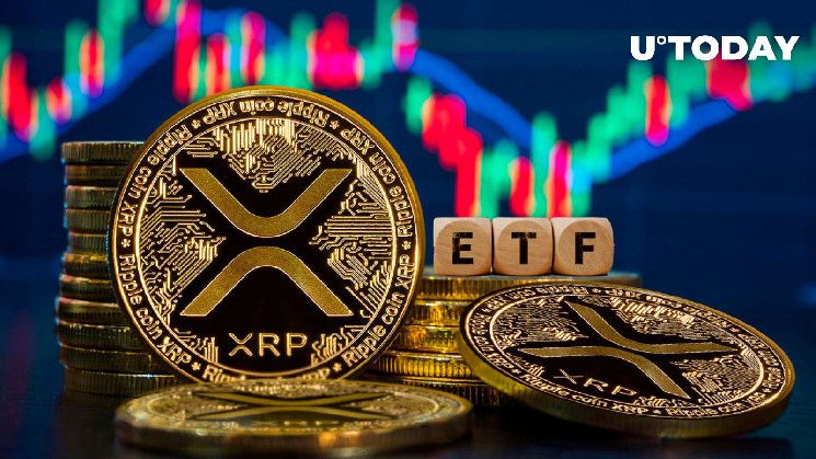 استثمارات XRP ترتفع بشكل كبير: هل سيتبعها ETF XRP؟