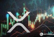 سعر XRP يصل إلى 1000 دولار: محلل يوضح كيف أن هذه التوقعات ممكنة جداً