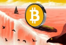 عودة أنشطة البيتكوين (BTC) على السلسلة وسط تراجع الأسعار: اكتشف التفاصيل الآن