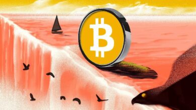 عودة أنشطة البيتكوين (BTC) على السلسلة وسط تراجع الأسعار: اكتشف التفاصيل الآن