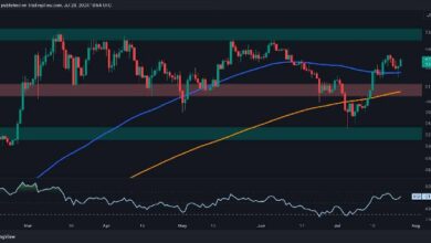 تحليل سعر البيتكوين: اكتشف لماذا ارتفع BTC بنسبة 5٪ اليوم