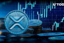 قد تتجه عملة XRP إلى ارتفاع هائل في يوليو إذا تحقق هذا الاتجاه