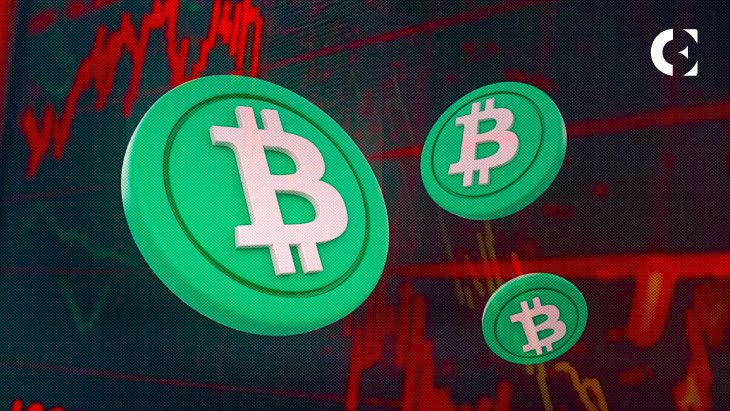 شبكة بيتكوين كاش تشهد ارتفاعاً قياسياً في معدل الهاش، لكن السعر يتراجع | اكتشف السبب الآن