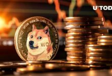 1.1 مليار دولار من Dogecoin في 24 ساعة: اكتشف التفاصيل الآن