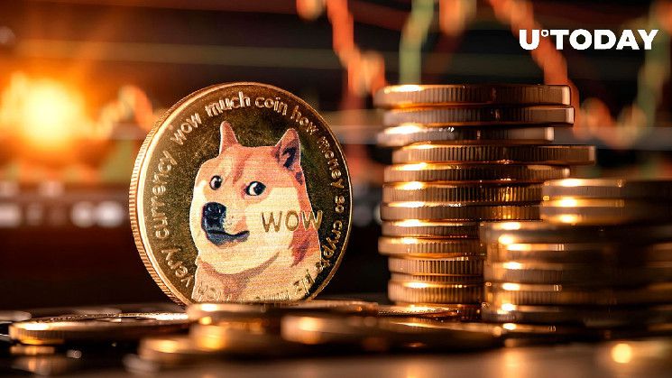 1.1 مليار دولار من Dogecoin في 24 ساعة: اكتشف التفاصيل الآن