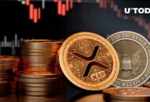 انخفاض XRP بنسبة 7٪ بعد تأجيل تسوية قضية Ripple ضد SEC