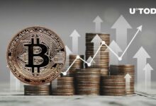 هل سيرتفع سعر البيتكوين (BTC) بنسبة 400%؟ التاريخ يقول نعم