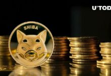 عودة ضخمة لـ Shiba Inu (SHIB) إلى $0.000017: التفاصيل المهمة