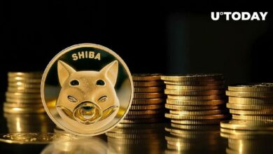 عودة ضخمة لـ Shiba Inu (SHIB) إلى $0.000017: التفاصيل المهمة