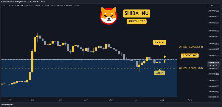 لماذا انخفض سعر عملة شيبا إينو (SHIB) هذا الأسبوع؟ اكتشف الأسباب الآن!