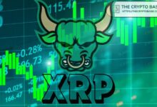 محلل يتوقع وصول XRP إلى 3.1 دولار بعد فترة تراكم طويلة تزيد عن 2275 يوماً: تعرف على التفاصيل