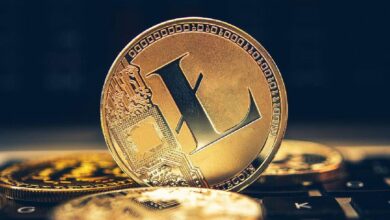 توقعات سعر لايتكوين: هل سيصل سعر LTC إلى 100 دولار في يوليو؟ اكتشف الآن!