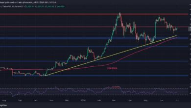 تحليل سعر الإيثيريوم: الثيران يستهدفون $3,500 على خلفية تصاعد الآمال لتحديد القاع