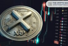 XRP تستهدف 6 دولارات بعد ارتفاع مذهل في عطلة نهاية الأسبوع: تعرف على التفاصيل