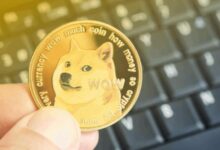 سعر دوجكوين في خطر إثر بيع 108 مليون DOGE على روبن هود - اكتشف المزيد الآن