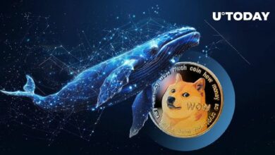 60 مليون دوجكوين (DOGE) في 24 ساعة، الحيتان تدفع نحو التحرير