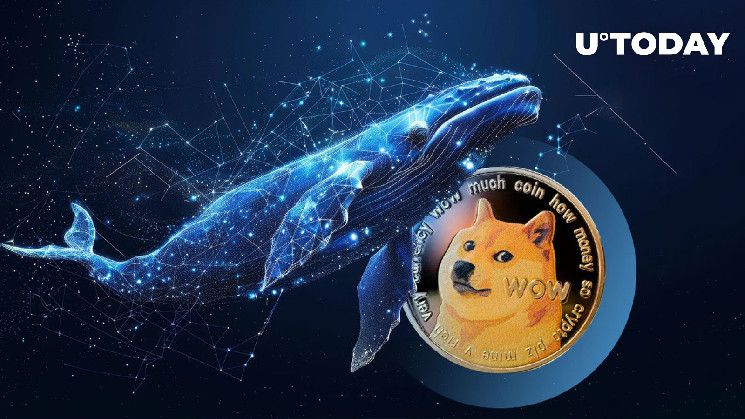 60 مليون دوجكوين (DOGE) في 24 ساعة، الحيتان تدفع نحو التحرير