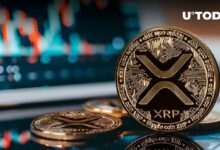 عودة عملة XRP إلى مستوى 0.6 دولار مكتملة، فماذا بعد؟ اكتشف المزيد!