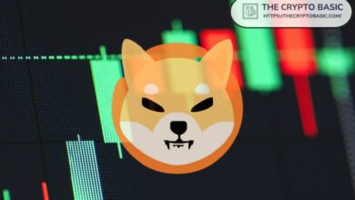 تحليل سعر شيبا إينو: هل يستطيع SHIB الصمود أمام الضغط الهبوطي من ETH و BTC؟