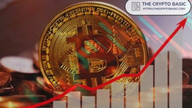 ارتفاع البيتكوين إلى 68 ألف دولار مع زيادة نشاط العقود الآجلة يُحقق الأرباح لـ 75% من الحائزين على المدى القصير