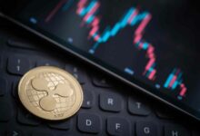 ارتفاع XRP بنسبة 1200٪ بعد تجاوز هذا المستوى - اكتشف الآن!