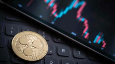 ارتفاع XRP بنسبة 1200٪ بعد تجاوز هذا المستوى - اكتشف الآن!