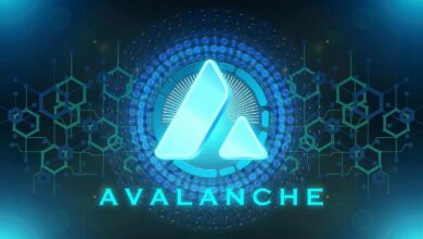 اكتشاف جديد في DeFi على Avalanche: إطلاق بروتوكول Avant لعملتي avUSD و savUSD. انضم الآن!