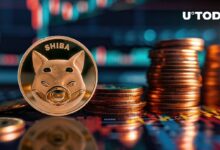 إشارات شراء شيبا إينو (SHIB) تظهر وسط انهيار العملات الرقمية - اكتشف التفاصيل