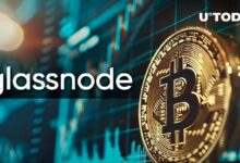 "بيتكوين لن تتوقف أبدًا: مؤشرات Glassnode تظهر تفاؤل صاعد"