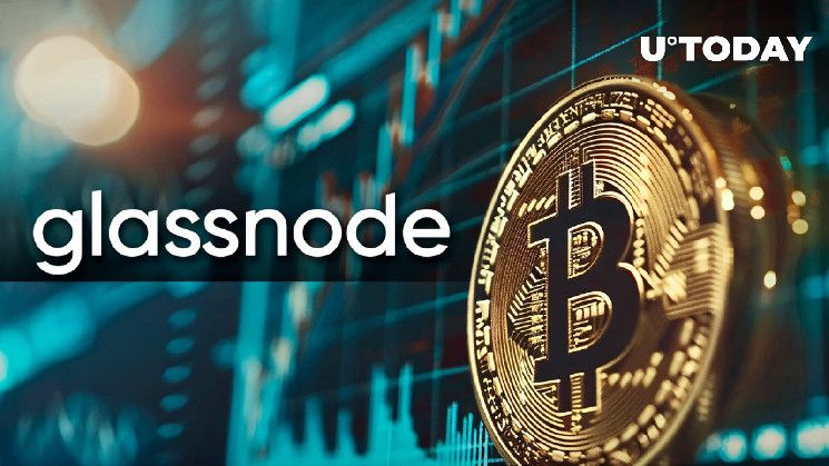 "بيتكوين لن تتوقف أبدًا: مؤشرات Glassnode تظهر تفاؤل صاعد"