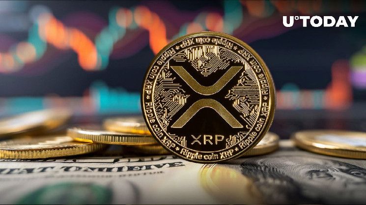 تحديث فوري: XRP يتجاوز حاجز $0.6 ويرتفع - اكتشف التفاصيل!